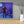 Load image into Gallery viewer, The Late Practice
