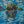 Load image into Gallery viewer, West Coast
