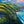 Load image into Gallery viewer, Cabot Trail
