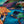 Load image into Gallery viewer, Quidi Vidi
