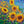 Load image into Gallery viewer, Sunflowers
