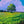 Load image into Gallery viewer, Shubenacadie Tree painting by Adam Young
